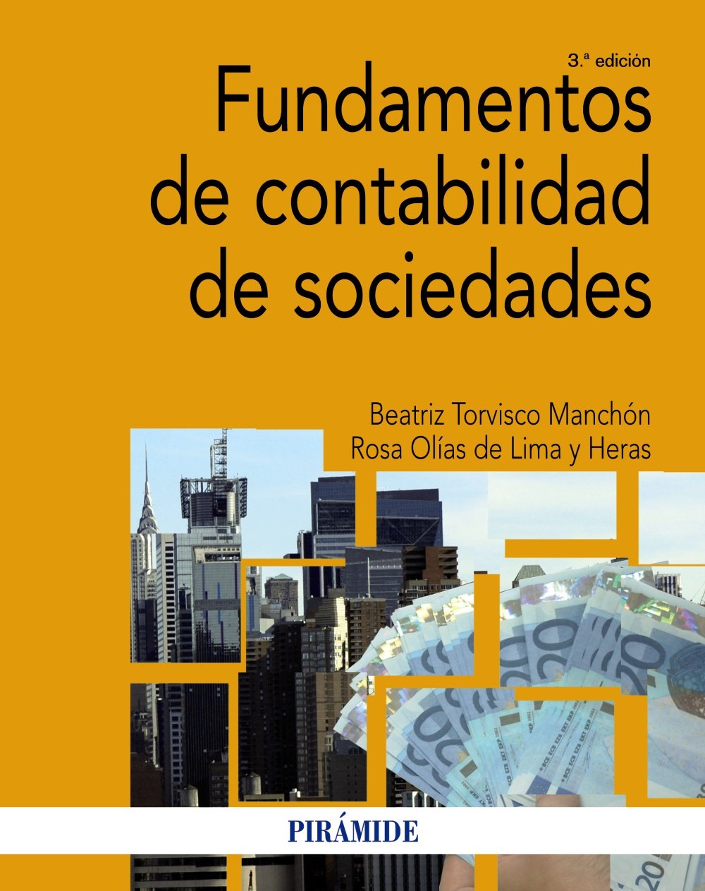 Fundamentos de contabilidad de sociedades book