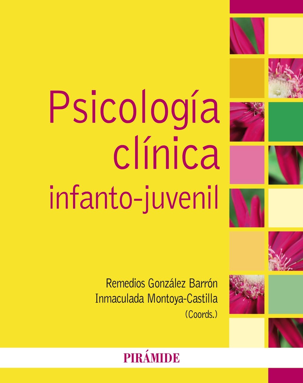Psicología clínica infanto-juvenil book