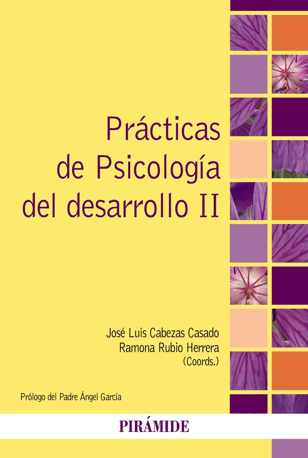 Prácticas de Psicología del desarrollo II book