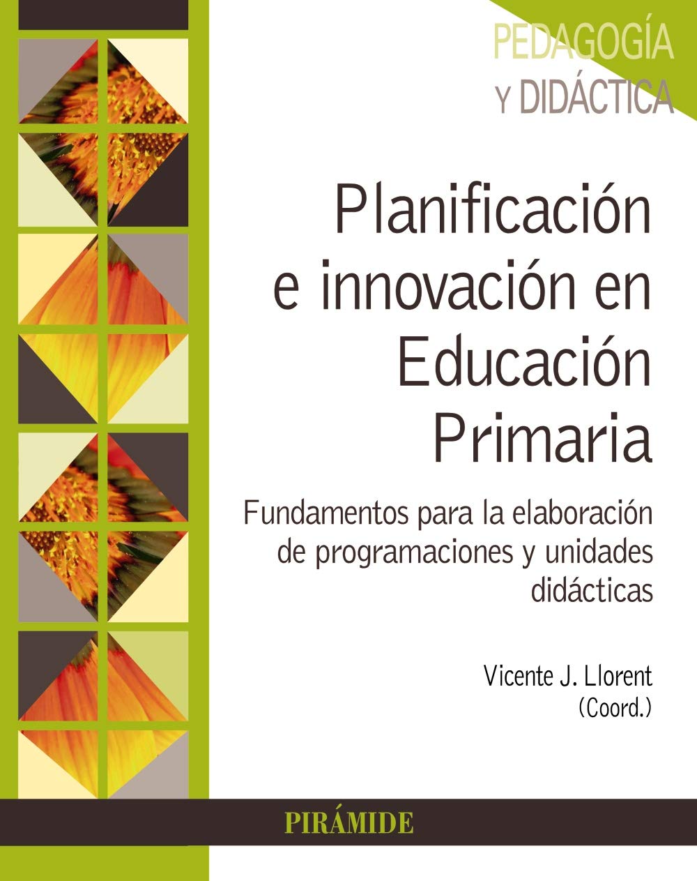 Planificación e innovación en Educación Primaria: Fundamentos para la elaboración de programaciones y unidades didácticas book