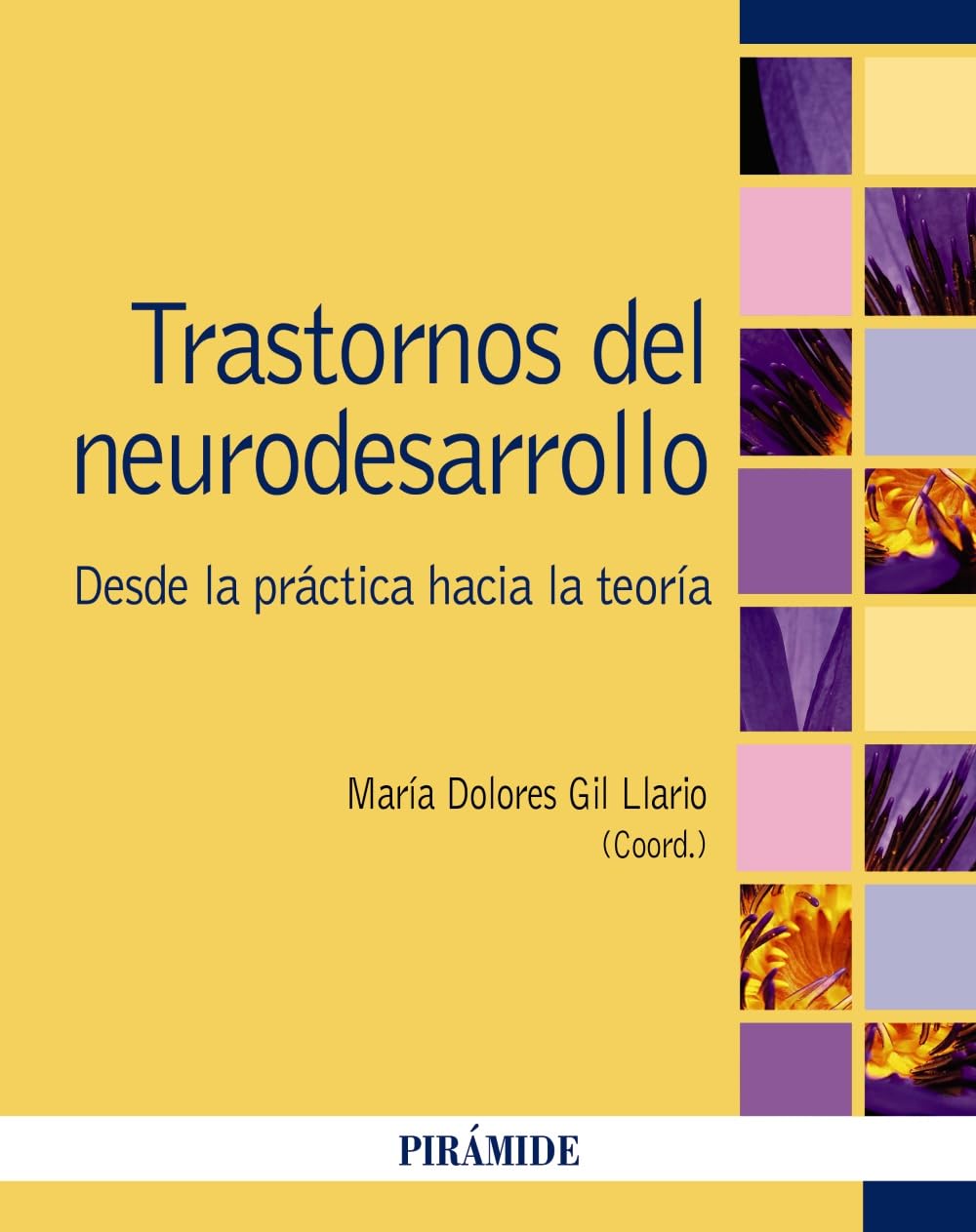 Trastornos del neurodesarrollo: Desde la práctica hacia la teoría book