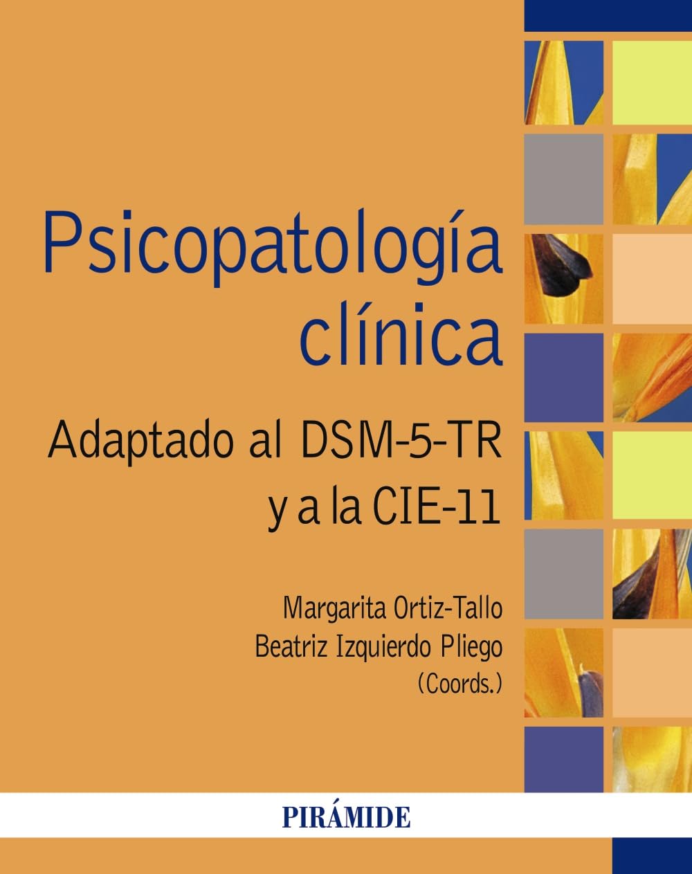 Psicopatología clínica: Adaptado al DSM-5-TR y a la CIE-11 book