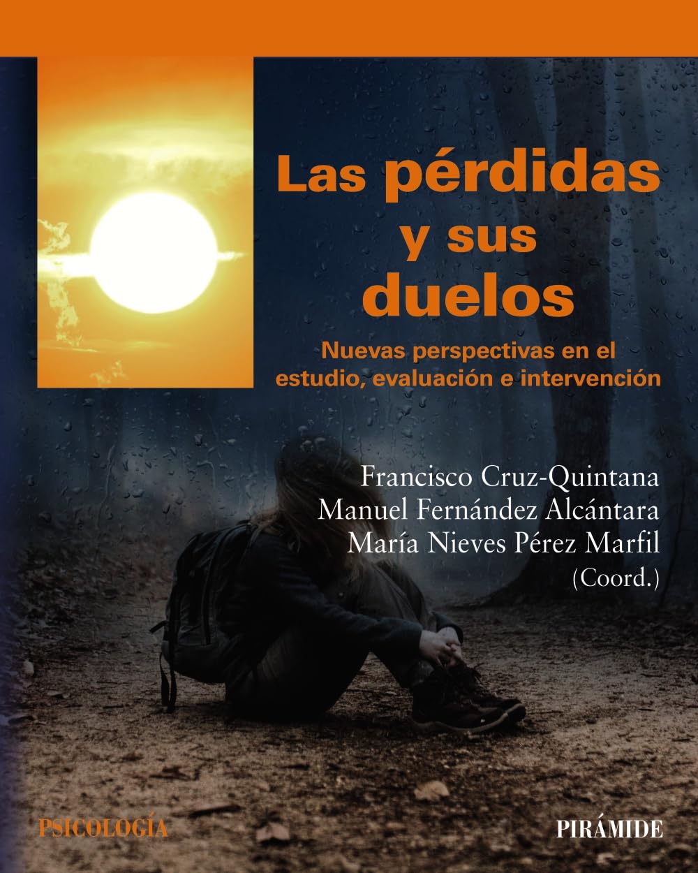 Las pérdidas y sus duelos: Nuevas perspectivas en el estudio, evaluación e intervención book