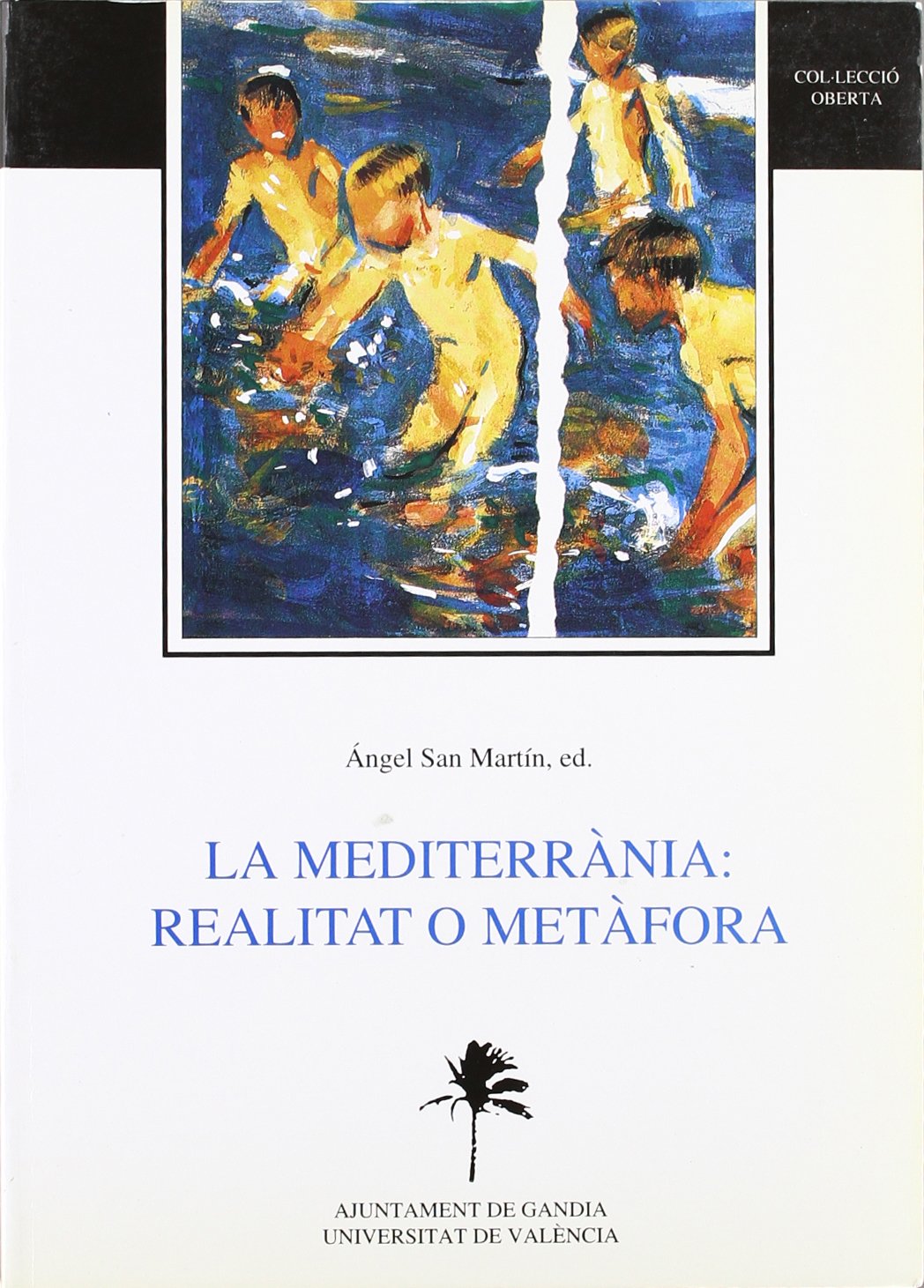 La mediterrània : realitat o metàfora: IX Universitat d'Estiu a Gandia (Oberta, Band 25) Social Sciences