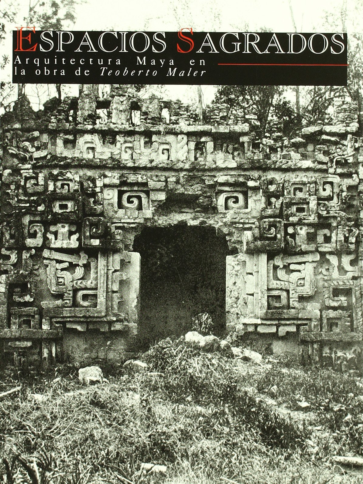 Espacios sagrados: Arquitectura maya en la obra de Teoberto Maler book