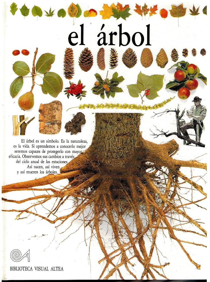 El Arbol/Trees (Eyewitness Series in Spanish) Business & Technology