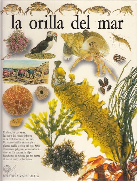 LA Orilla Del Mar (Eyewitness Series in Spanish) Books