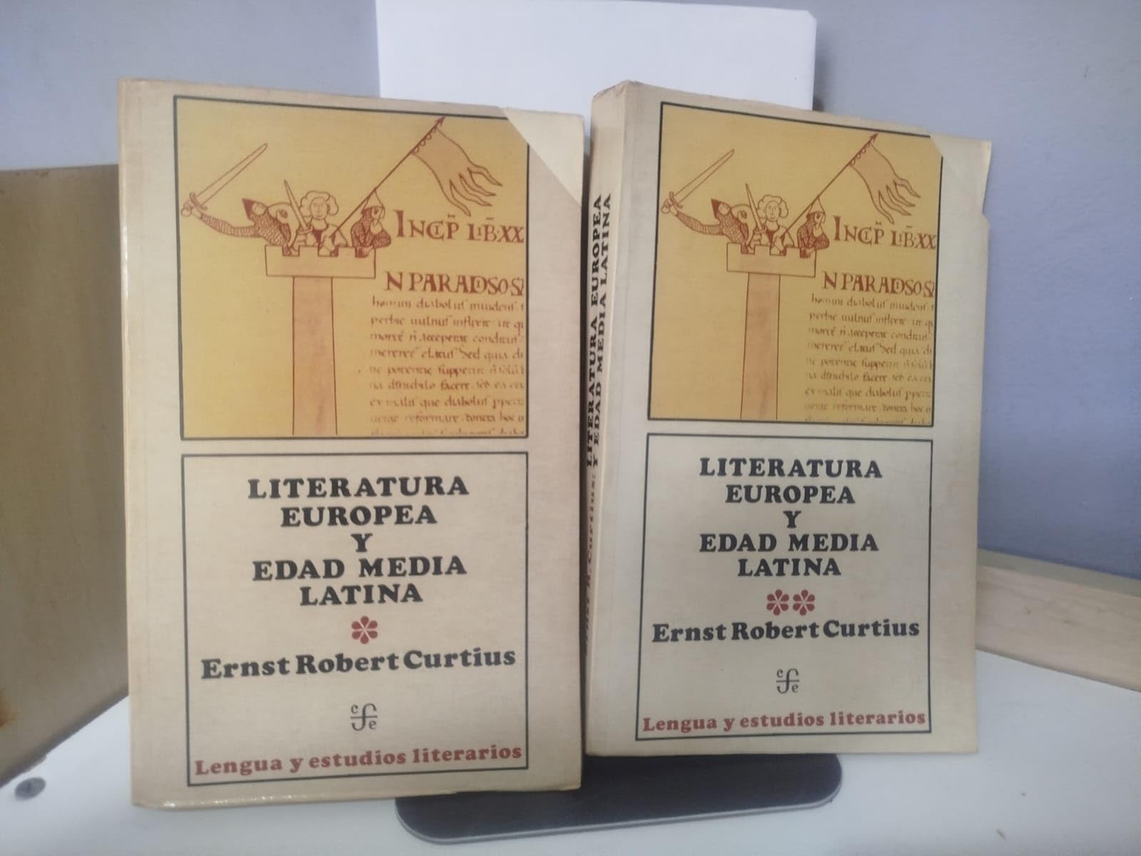 Literatura europea y edad media latina.; tomo 1 book