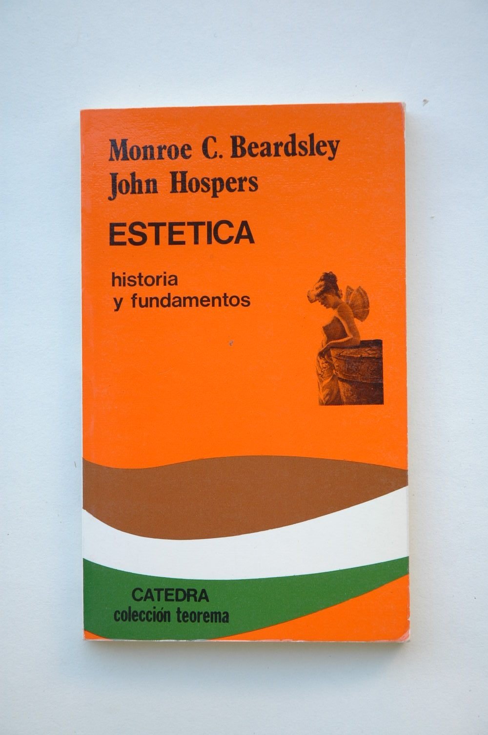 Estética : historia y fundamentos (Teorema. Serie Menor) Philosophy