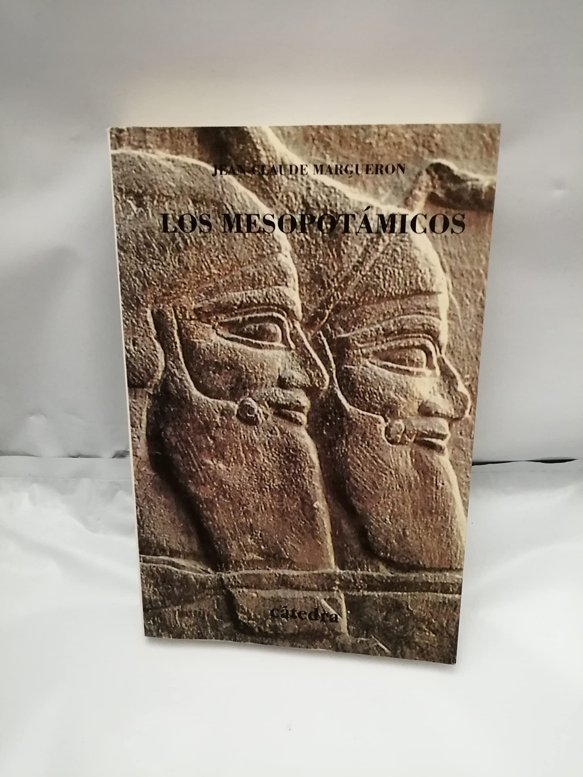 Los mesopotamicos / Mesopotamian book