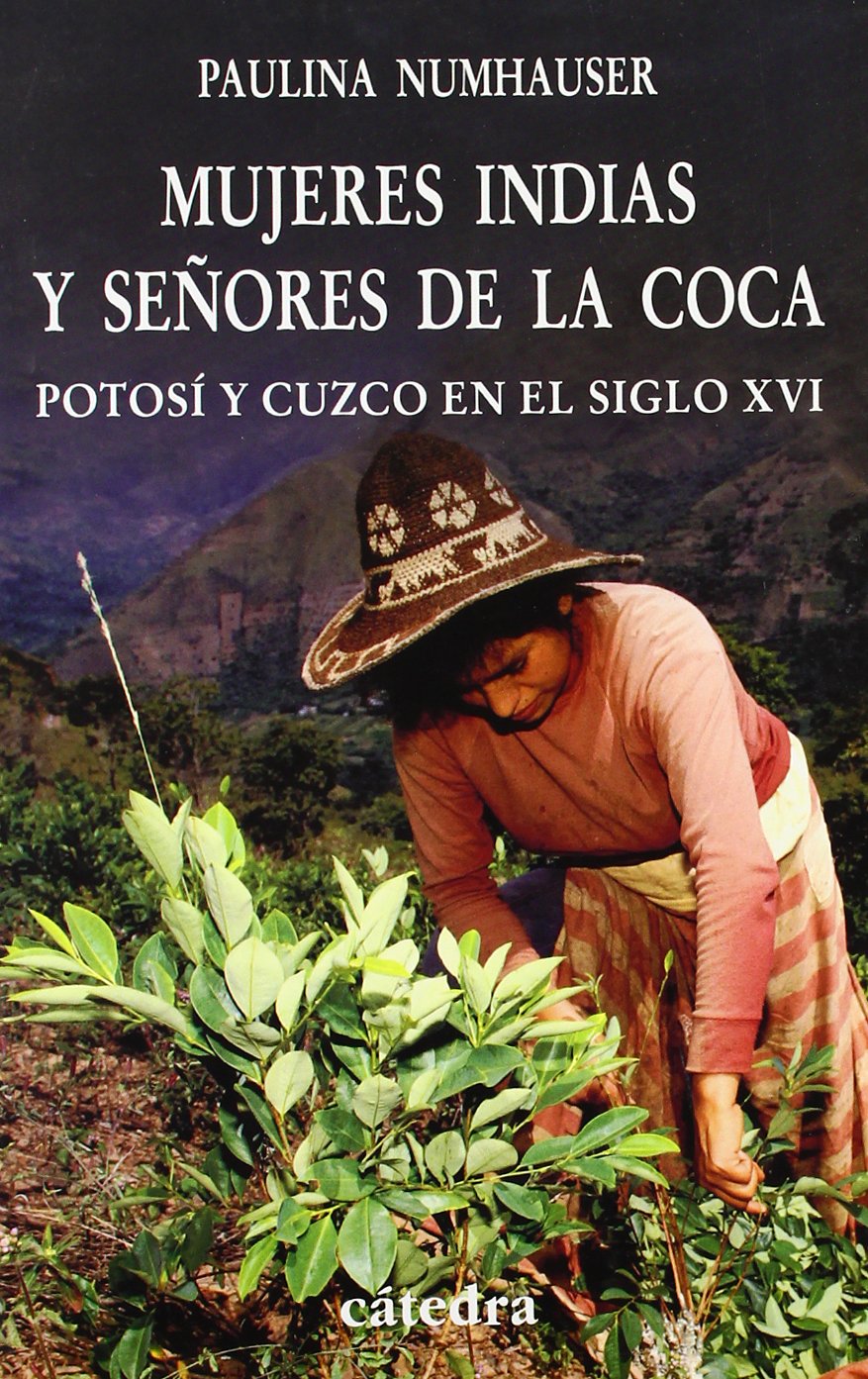 Mujeres indias y señores de la coca : Potosí y Cuzco en el siglo 16: Potosí y Cuzco en el siglo XVI (Historia. Serie menor) Social Sciences