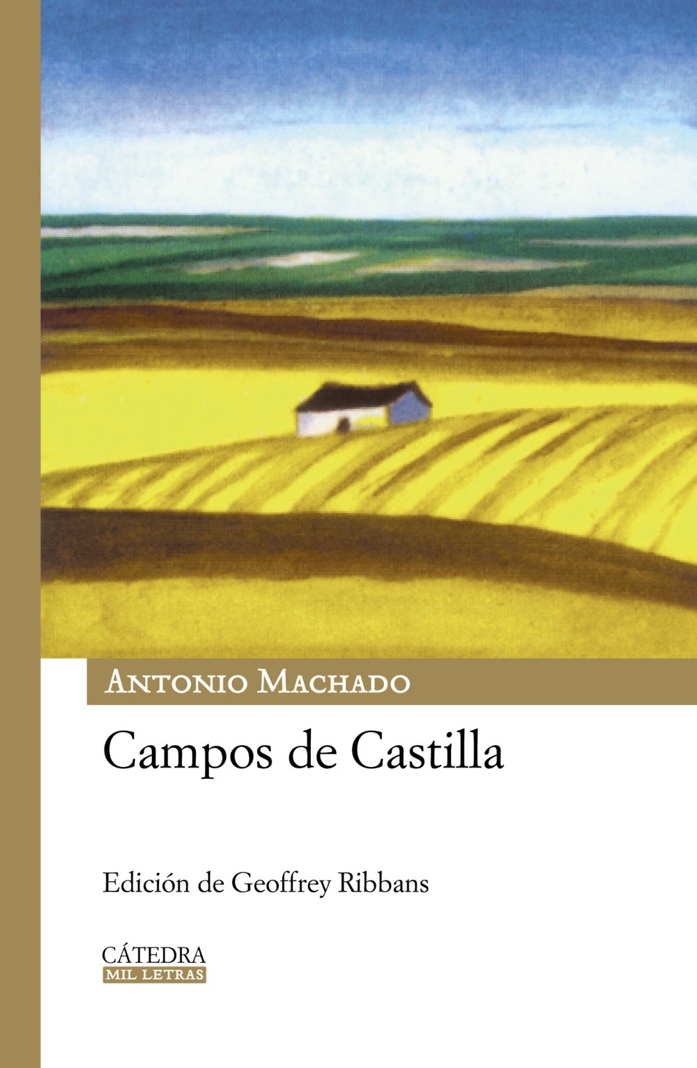 Campos de Castilla book