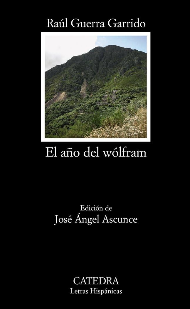 El ano del Wolfram / The year of Wolfram book
