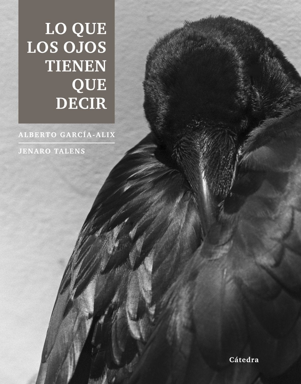 Lo que los ojos tienen que decir book