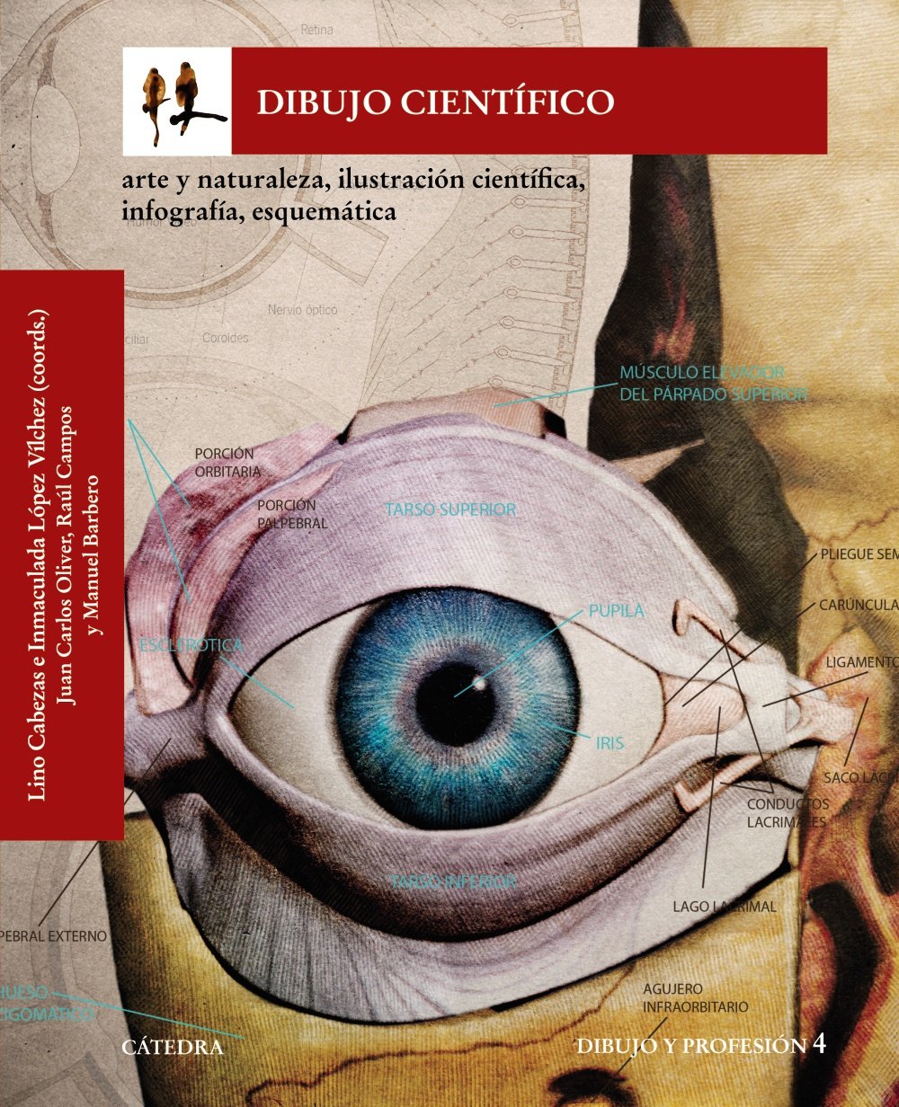 Dibujo científico : arte y naturaleza, ilustración científica, infografía, esquemática Arts & Music