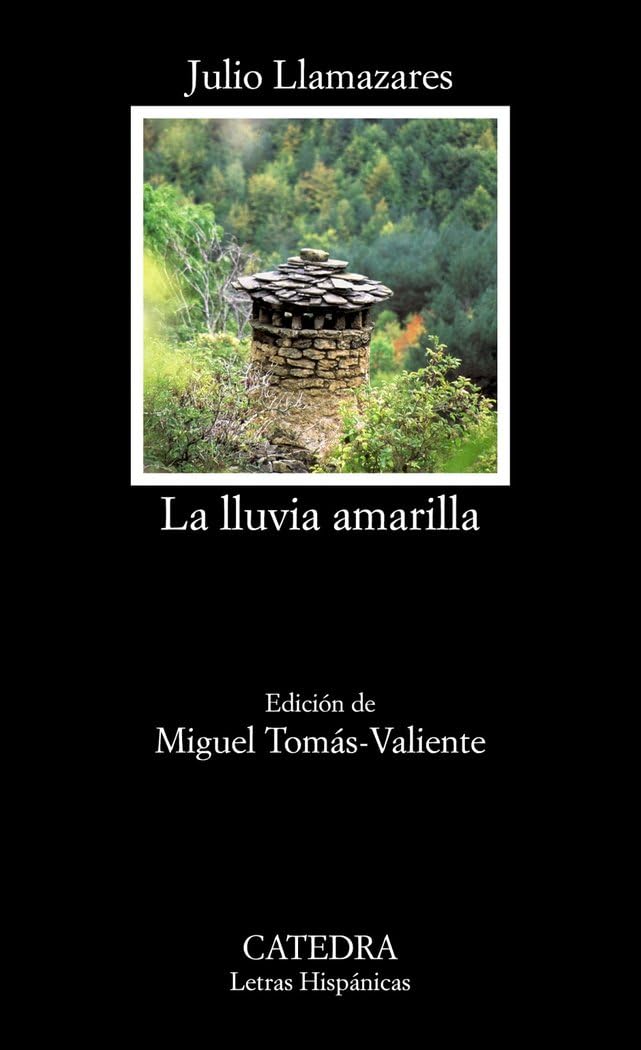 La lluvia amarilla (Letras Hispánicas) Contemporary literature