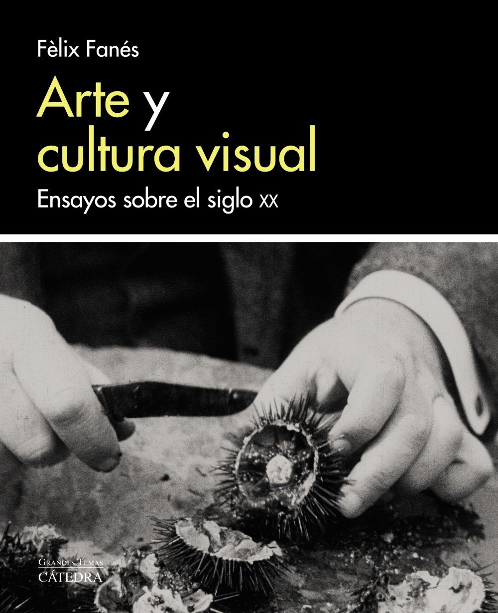 Arte y cultura visual : ensayos sobre el siglo XX (Arte Grandes temas) Film, Art & Culture
