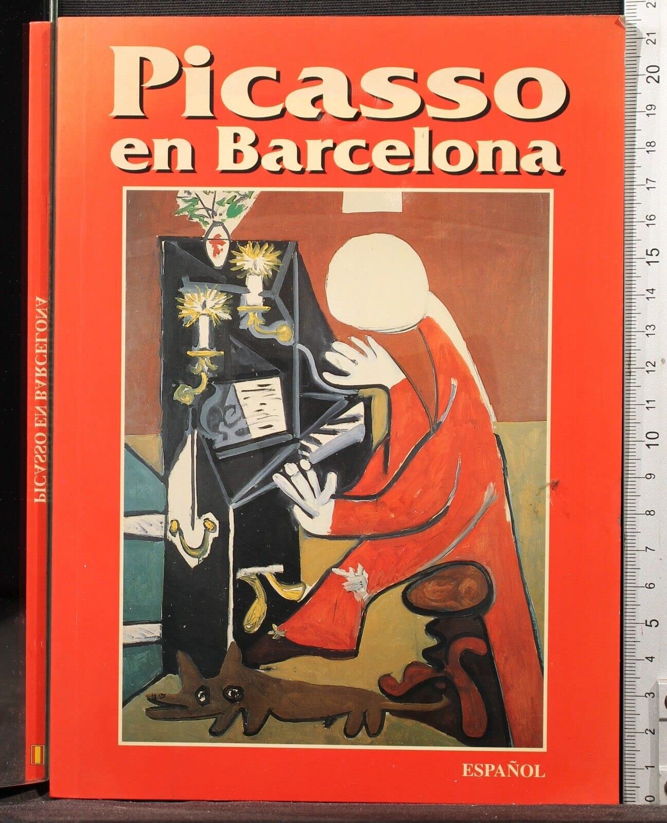 Picasso en Barcelona Books