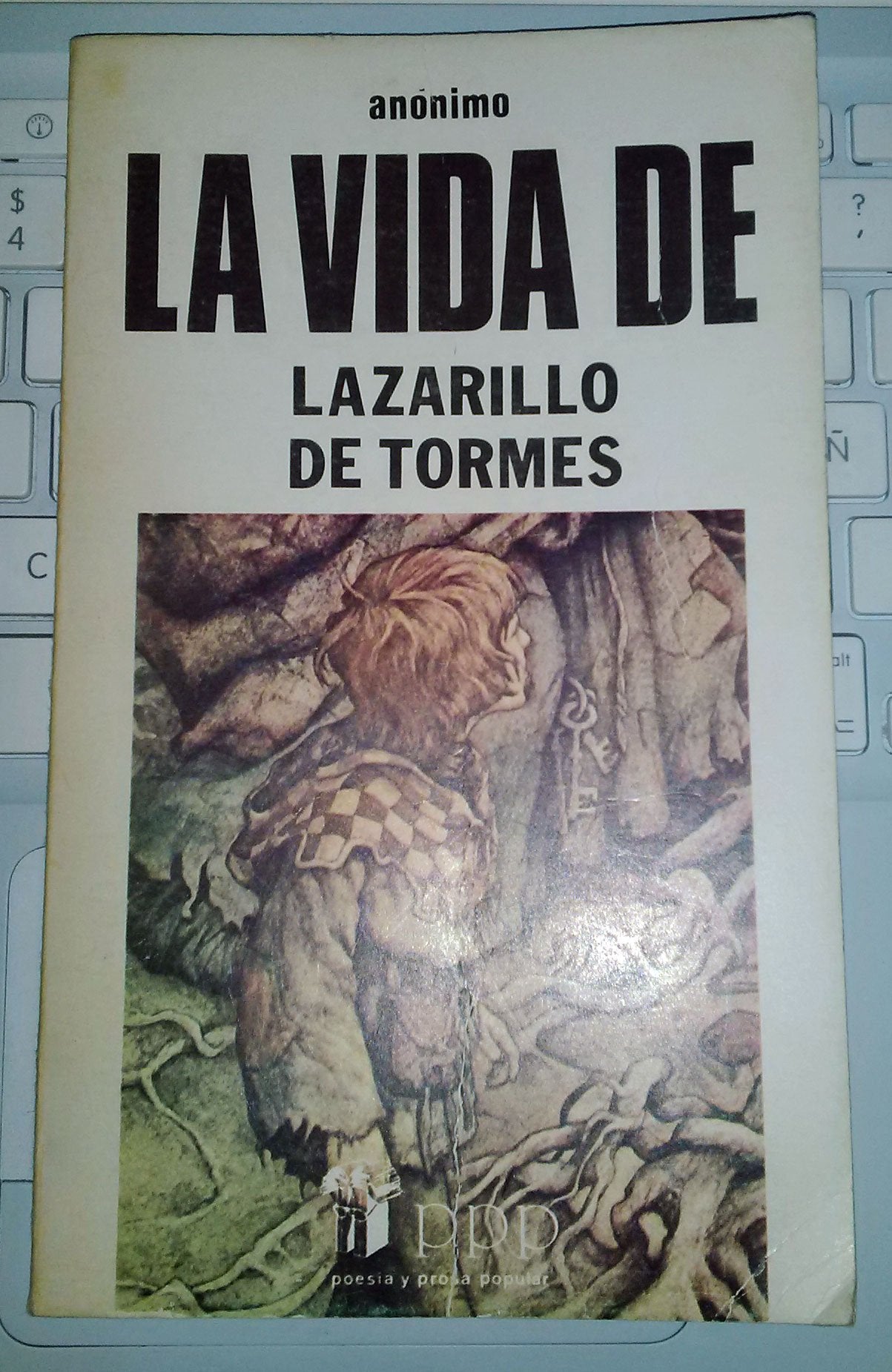 La vida del Lazarillo de Tormes y de sus fortunas y adversidades (PPP) book