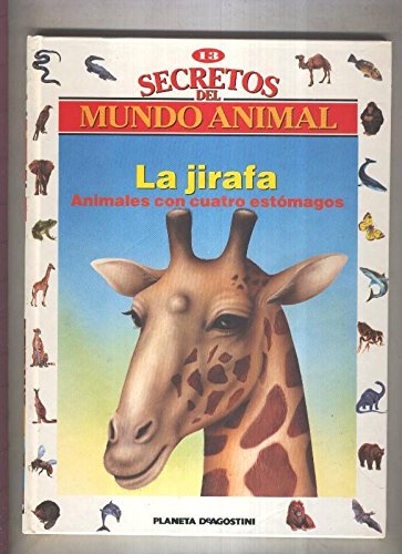 Secretos del mundo animal numero 13: La jirafa, animales con cuatro estomagos book