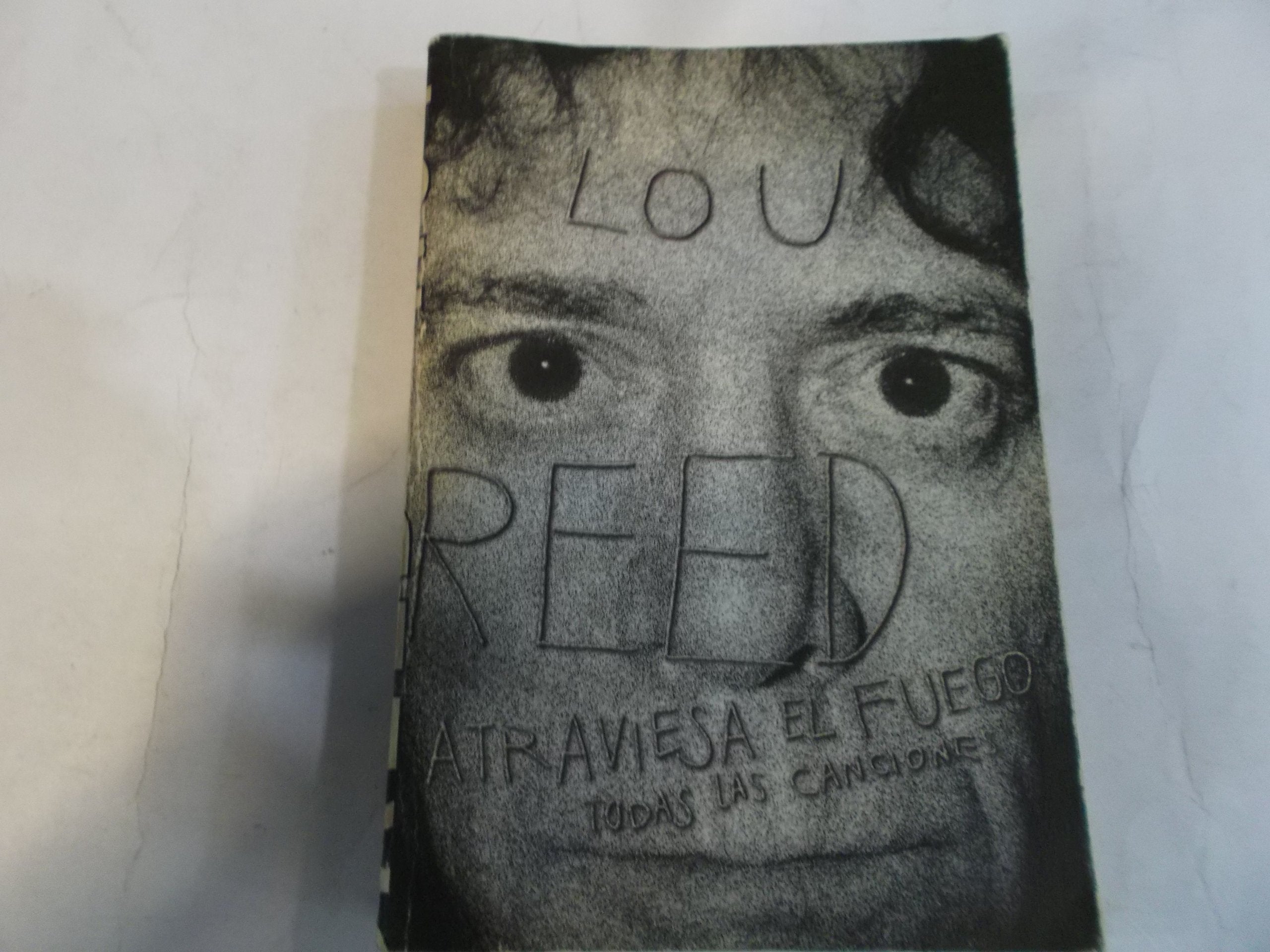 Lou Reed, atraviesa el fuego (RESERVOIR BOOKS, Band 101111) Social Sciences