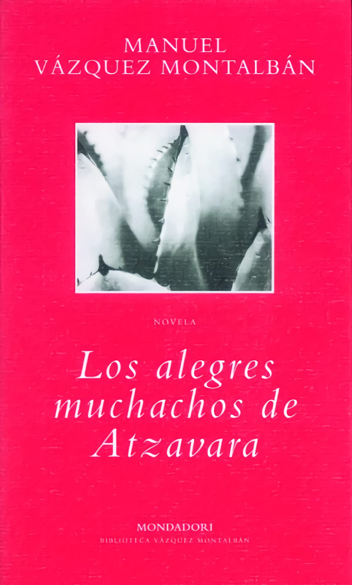 Los alegres muchachos de Atzavara (BIBLIOTECA VAZQUEZ MONTALBAN, Band 101105) Contemporary literature
