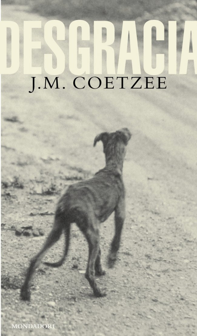 Desgracia (BIBLIOTECA J.M. COETZEE, Band 101098) Social Sciences