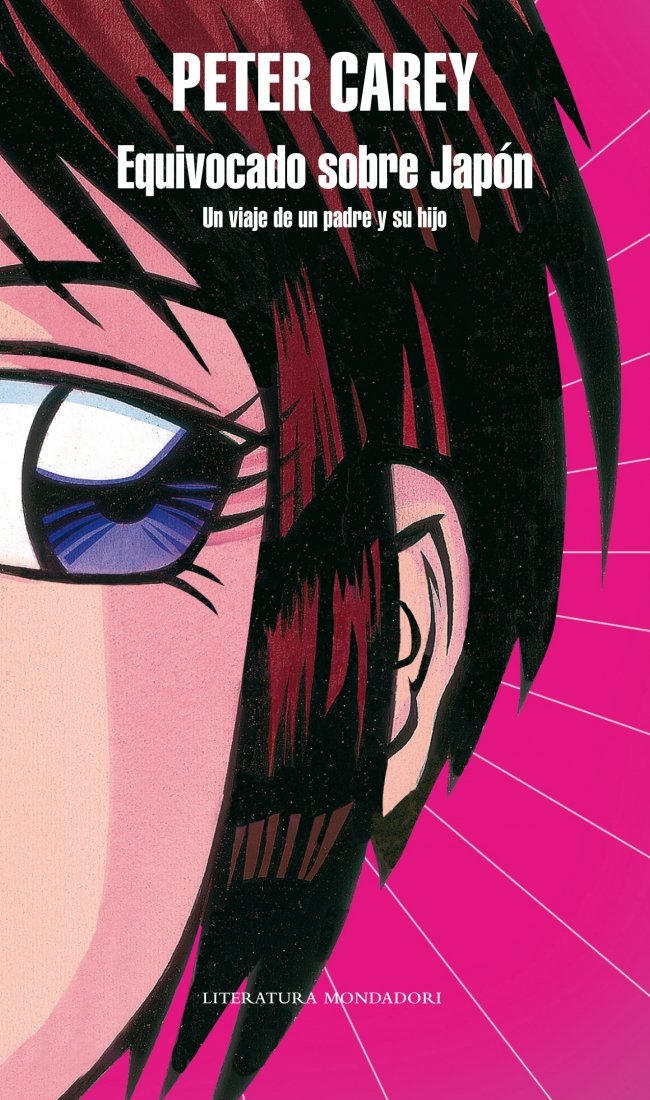 Equivocado sobre Japon / Wrong About Japan book