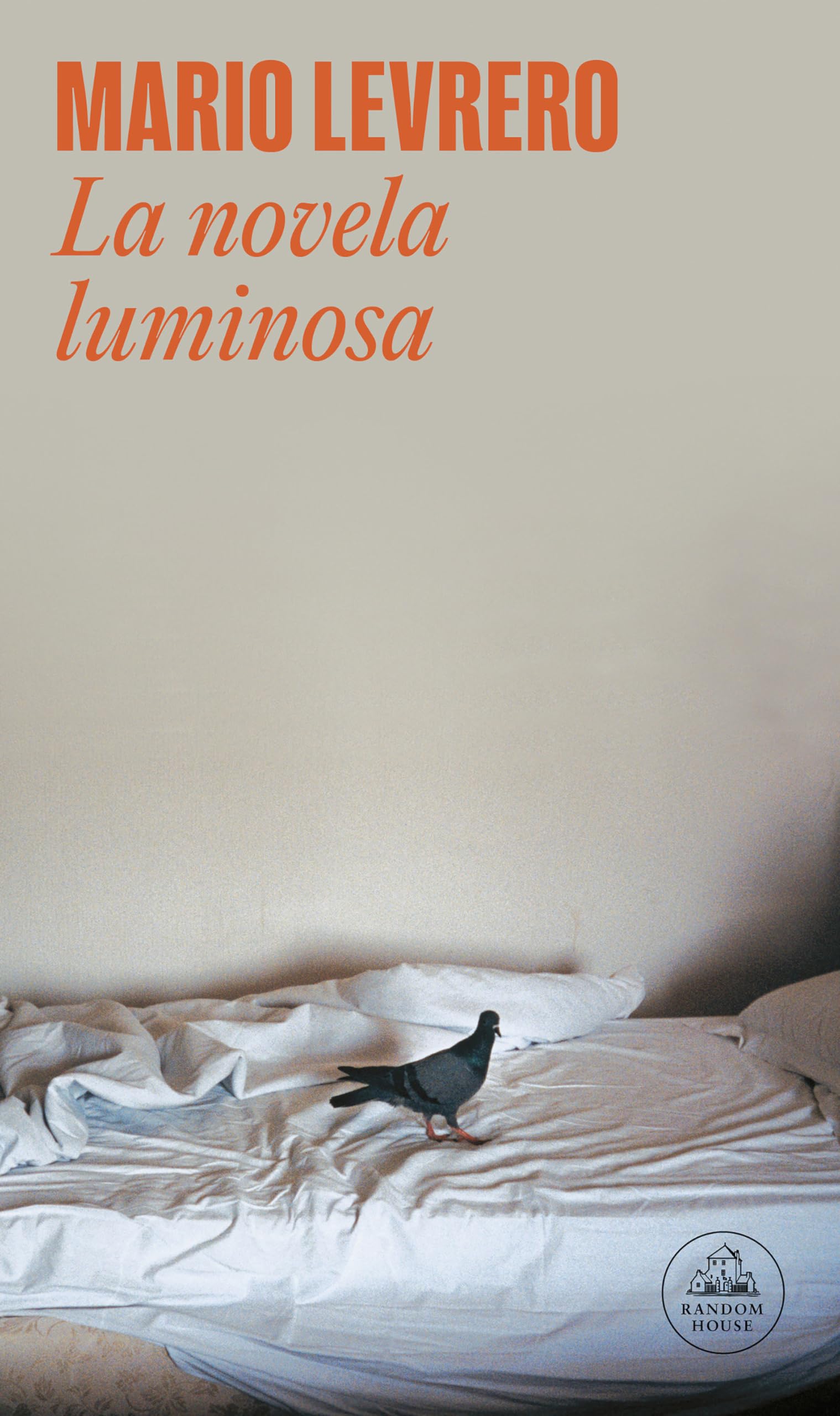 La novela luminosa/ The Bright Novel book