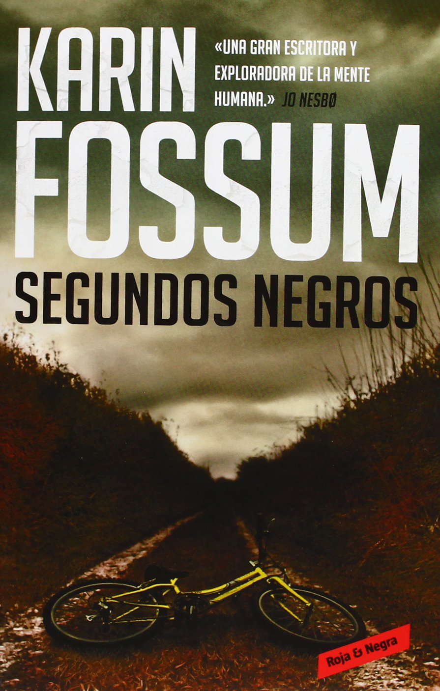 Inspector Sejer 6. Segundos negros Contemporary literature