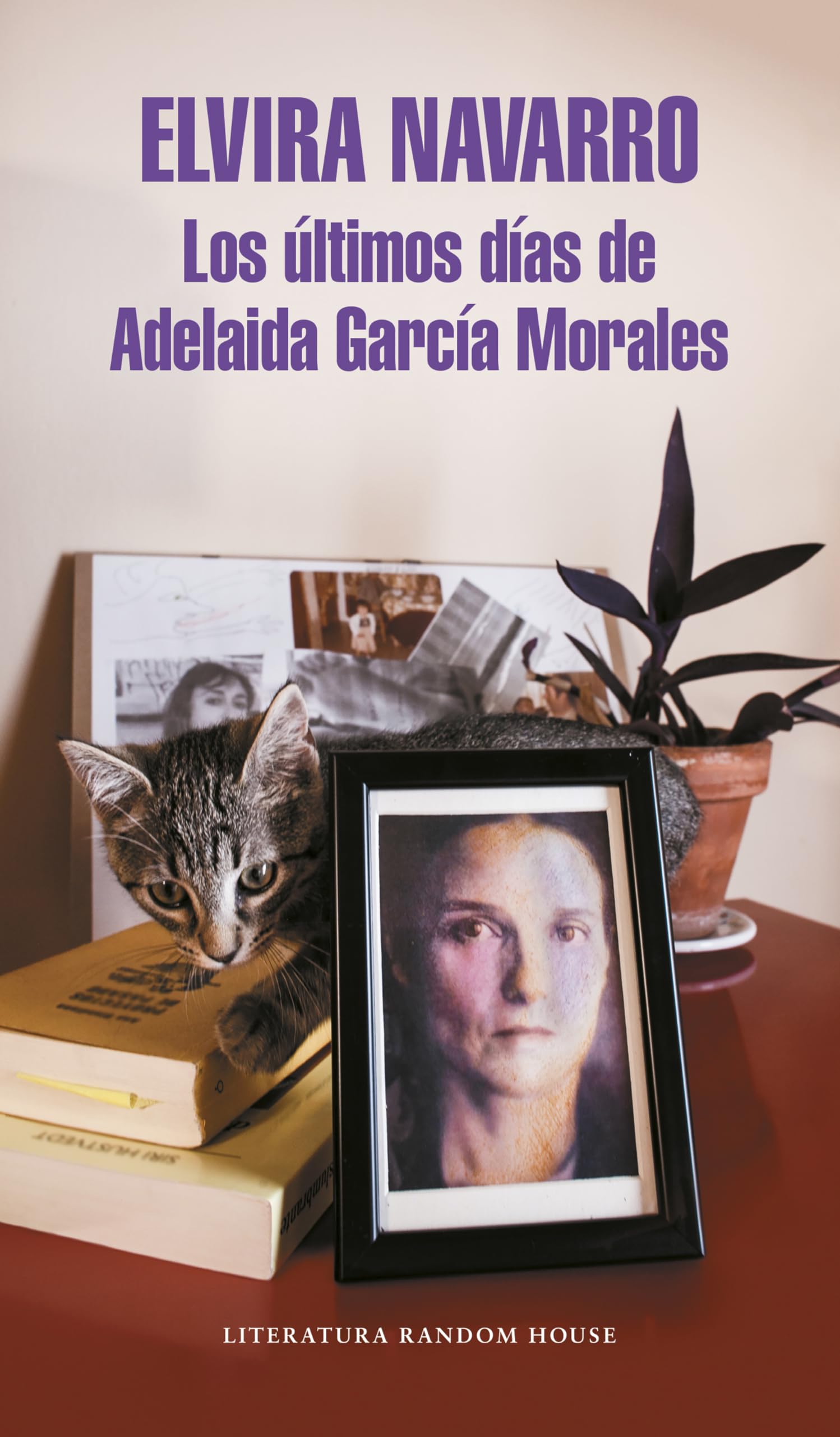 Los Últimos Días de Adelaida García Mora Contemporary literature