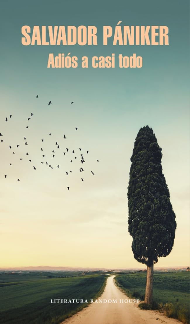 Diarios de Pániker 5. Adiós a casi todo (Random House, Band 5) Contemporary literature