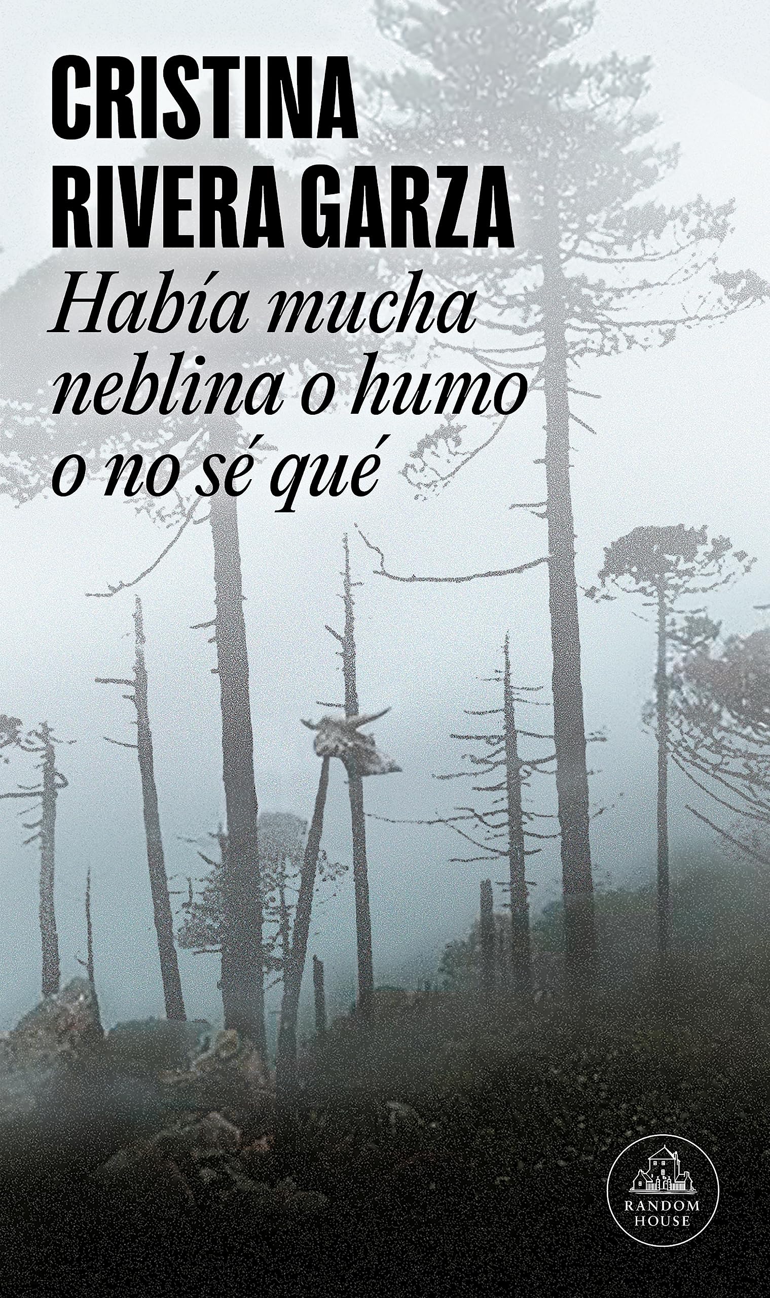 Había mucha neblina o humo o no sé qué : mapa de las lenguas Contemporary literature