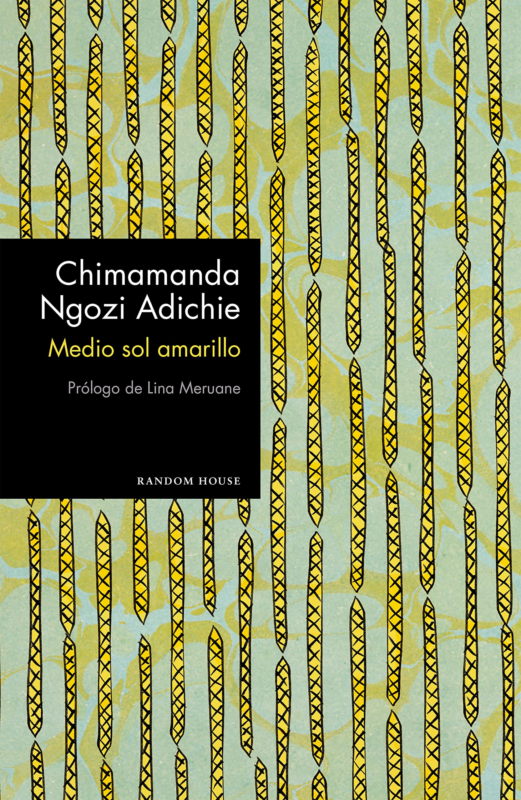 Medio sol amarillo (Random House) Contemporary literature