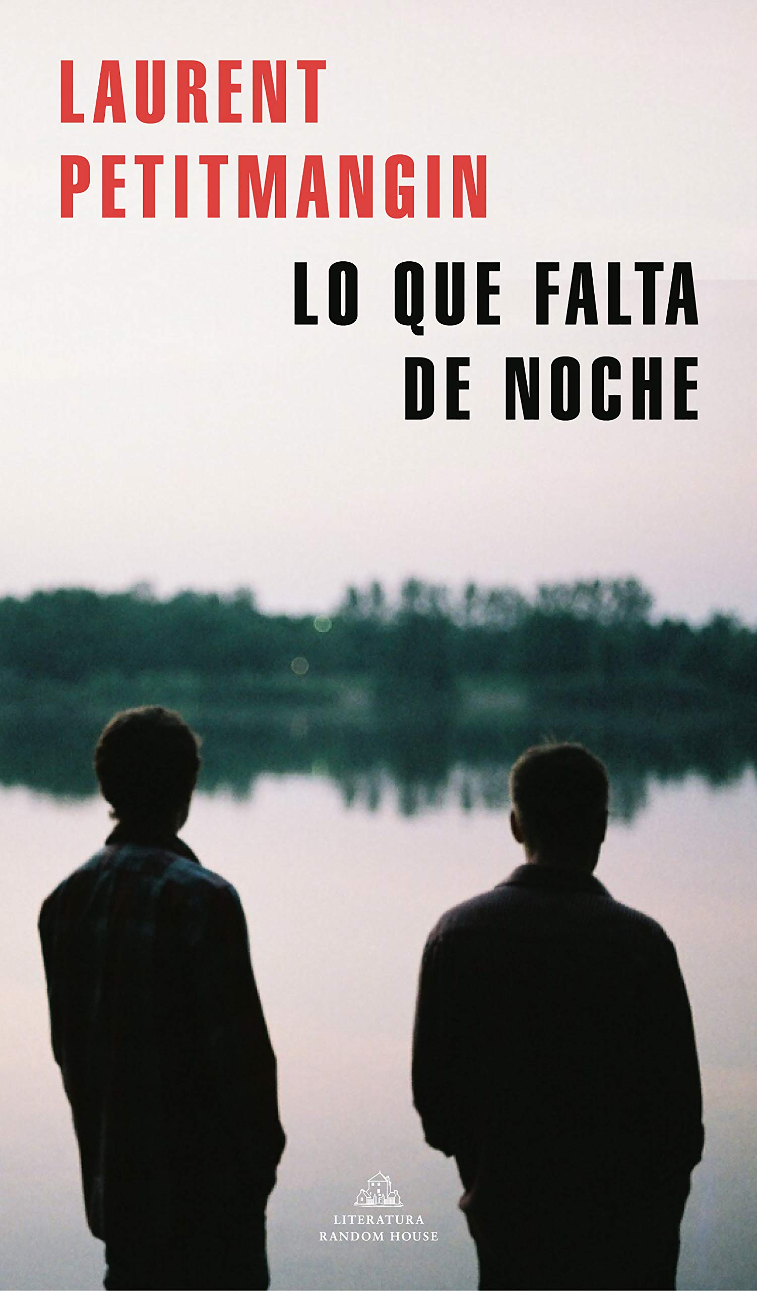 Lo que falta de noche / What is missing at night book