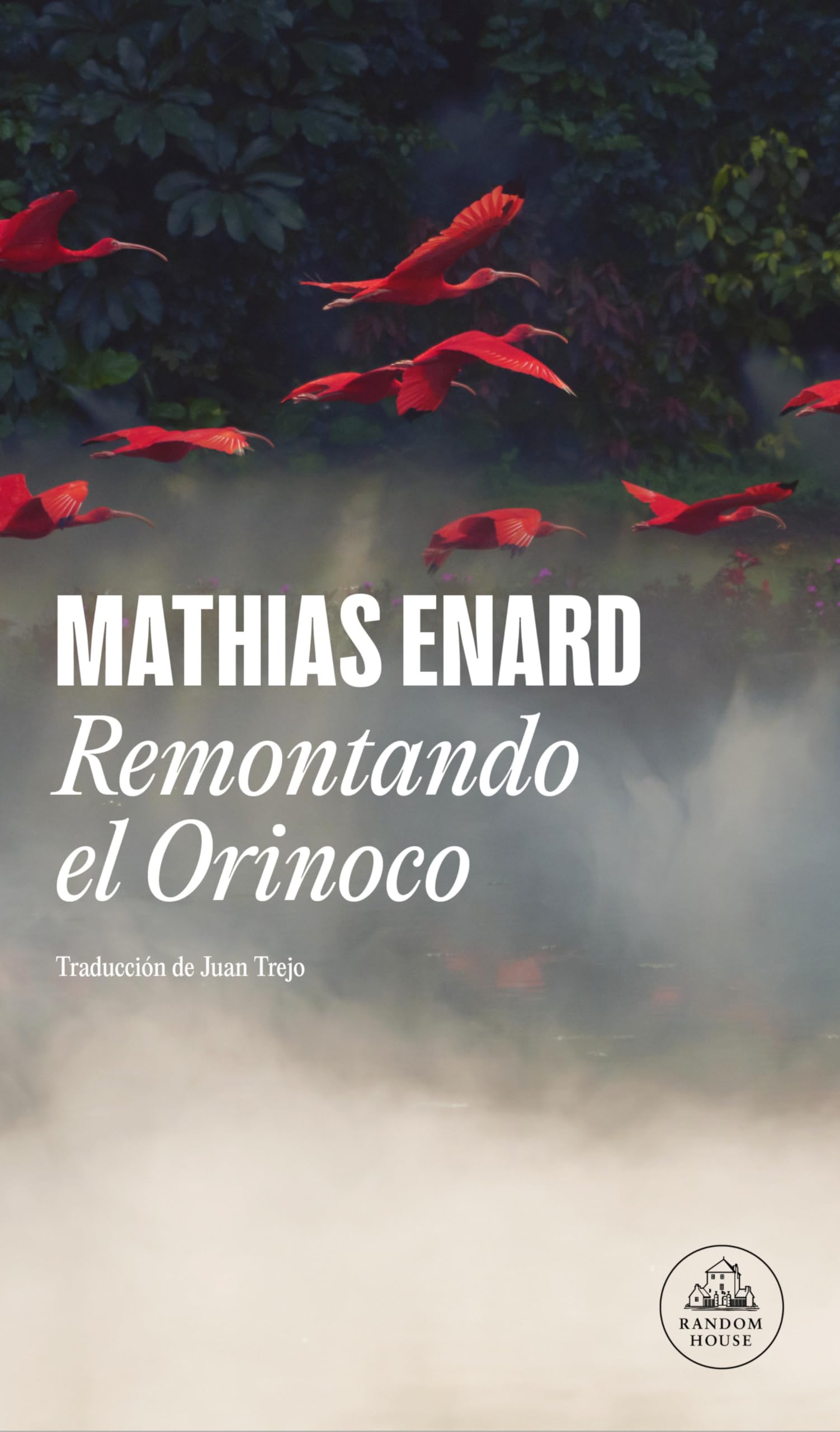 Remontando el Orinoco/ Voyage Up the Orinoco book
