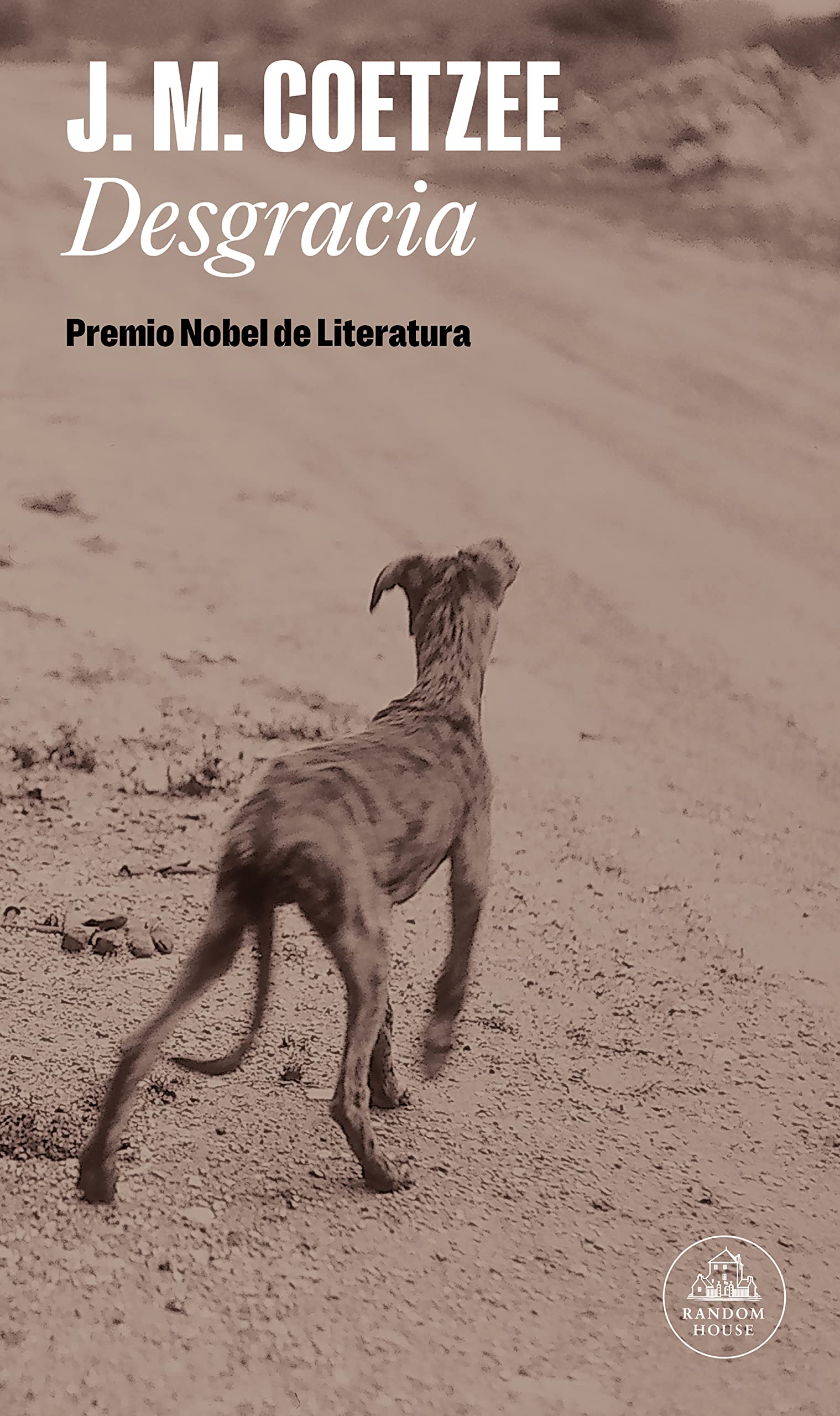 Desgracia Contemporary literature Books
