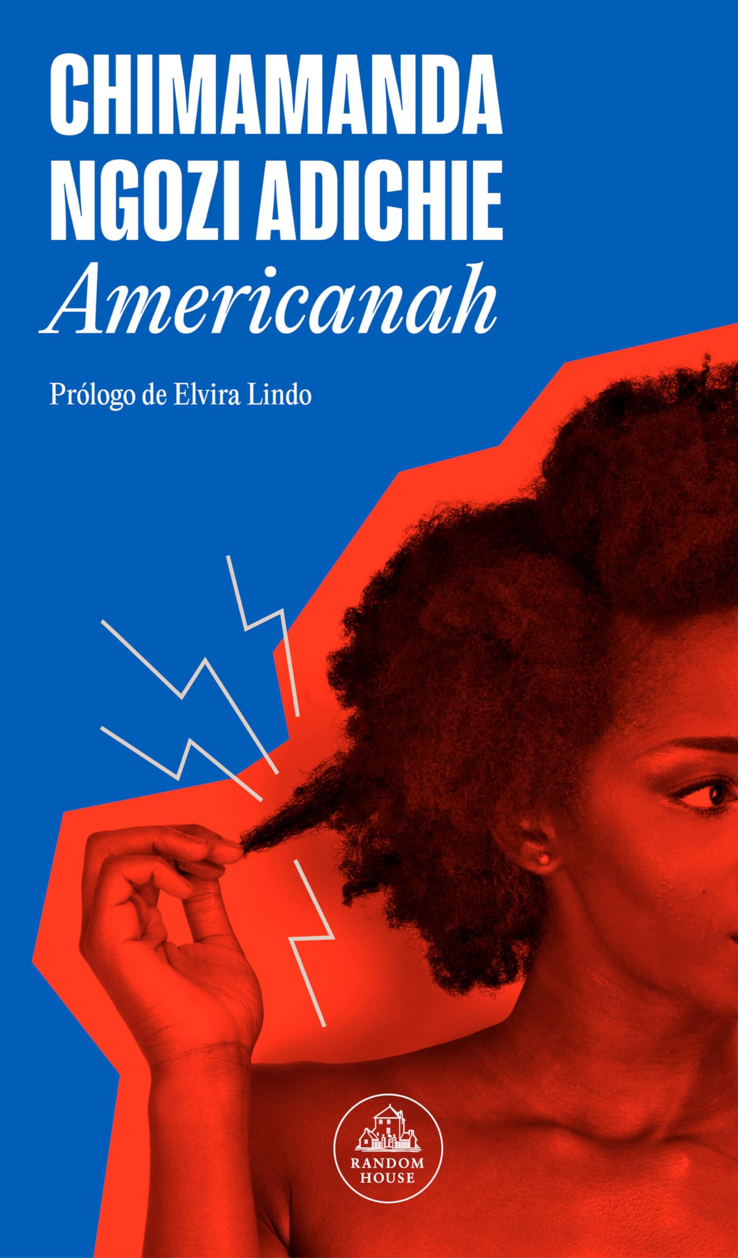 Americanah (Random House) Historical Fiction