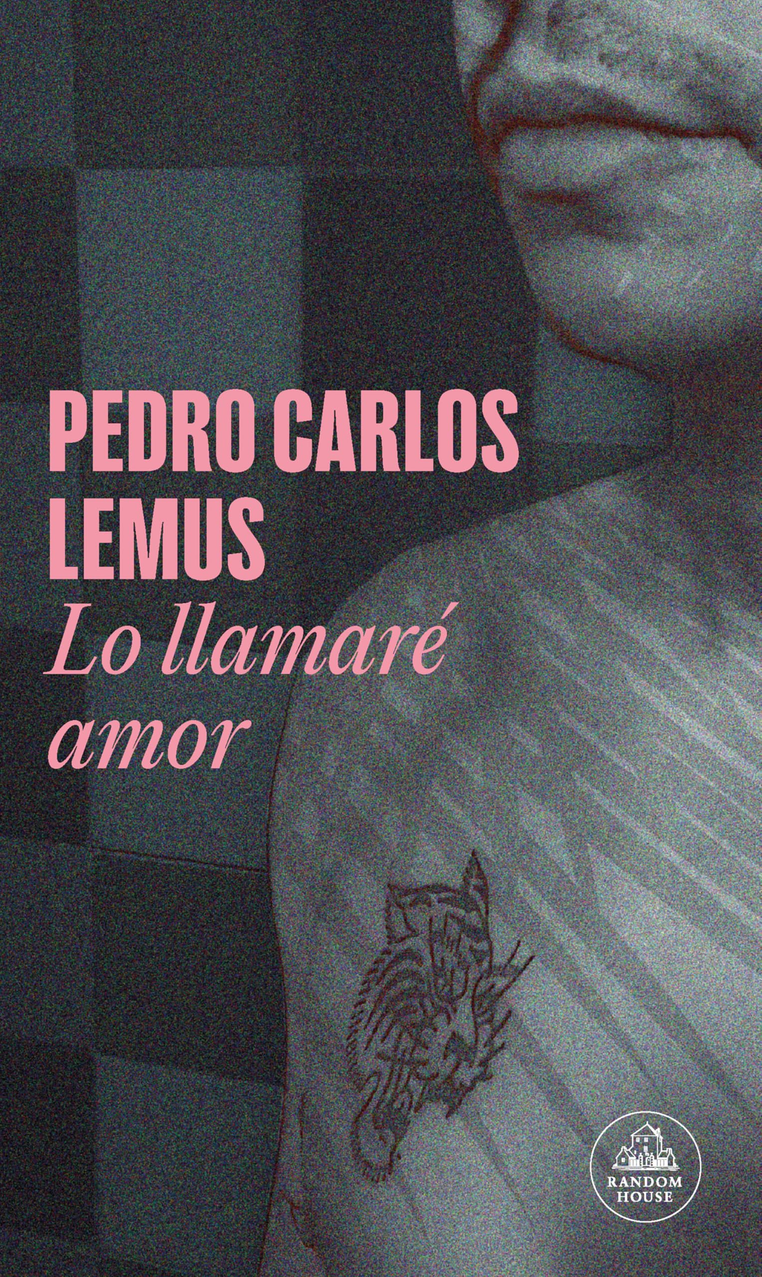 Lo llamaré amor / I'll Call It Love book