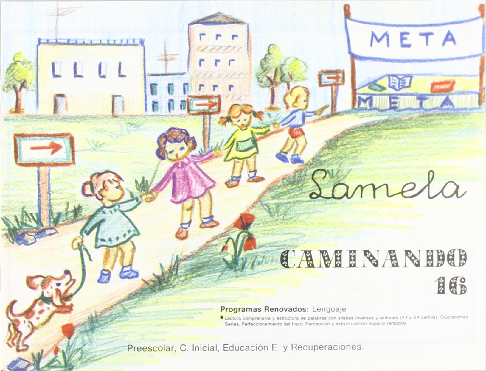 Caminando 16 Books