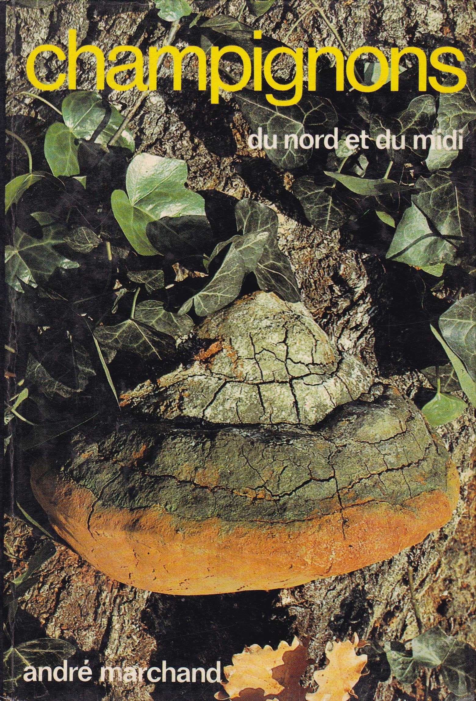 Champignons Du Nord ,Tomo 4 Books