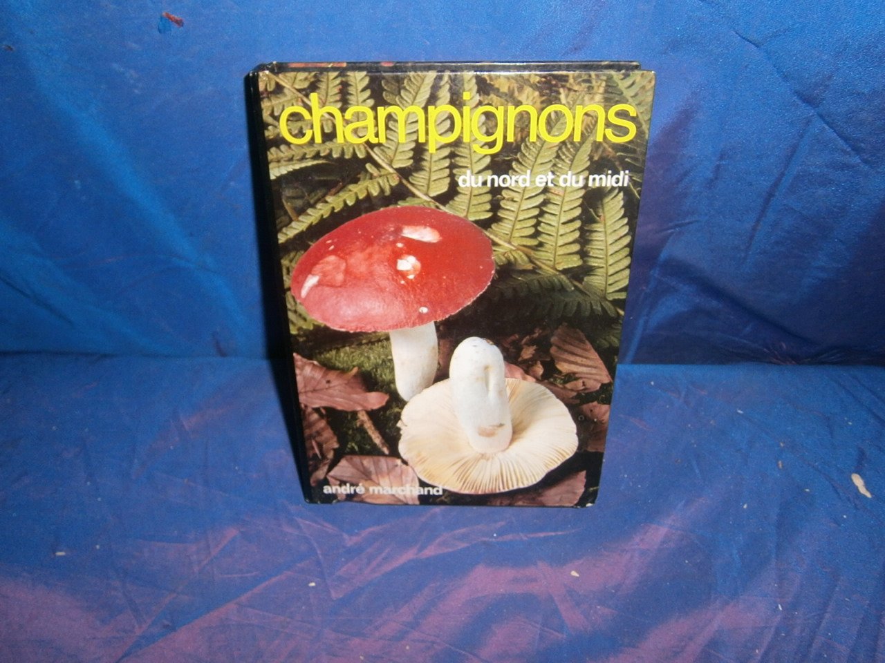 Les russules / champignons du nord et du midi 5 Books