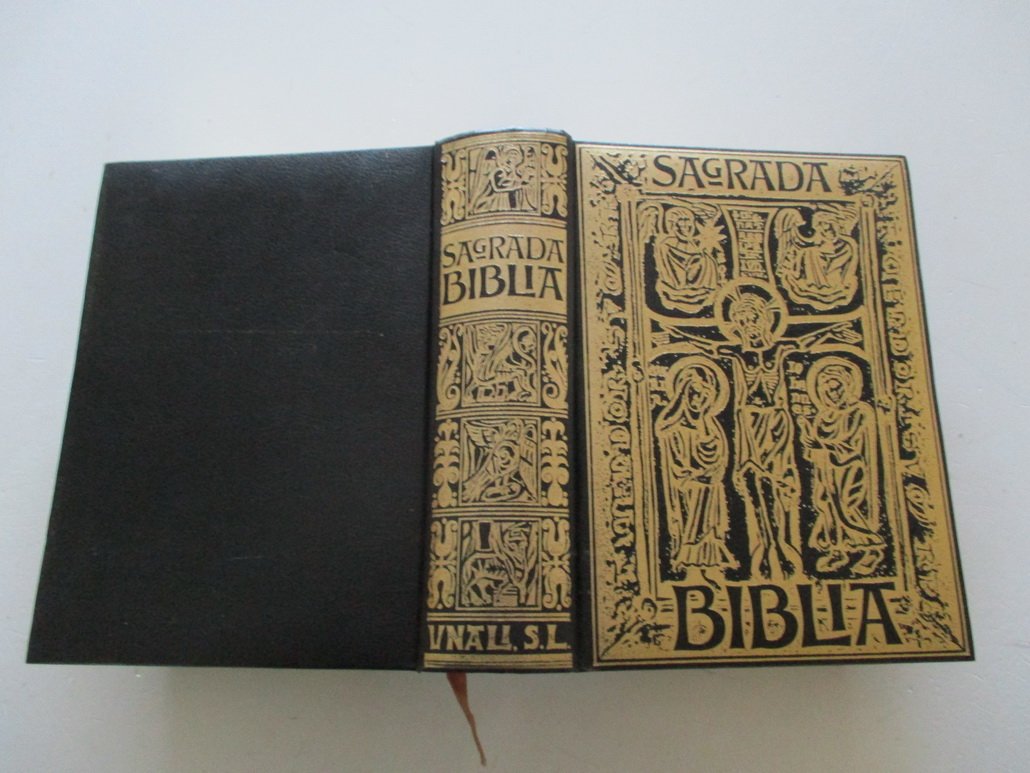 Sagrada Biblia. Edicion facsimilar De La Impresa En 1884 Traducida De La Vulgata Latina al Español. Ilmo. Don Felix Torres Amat book