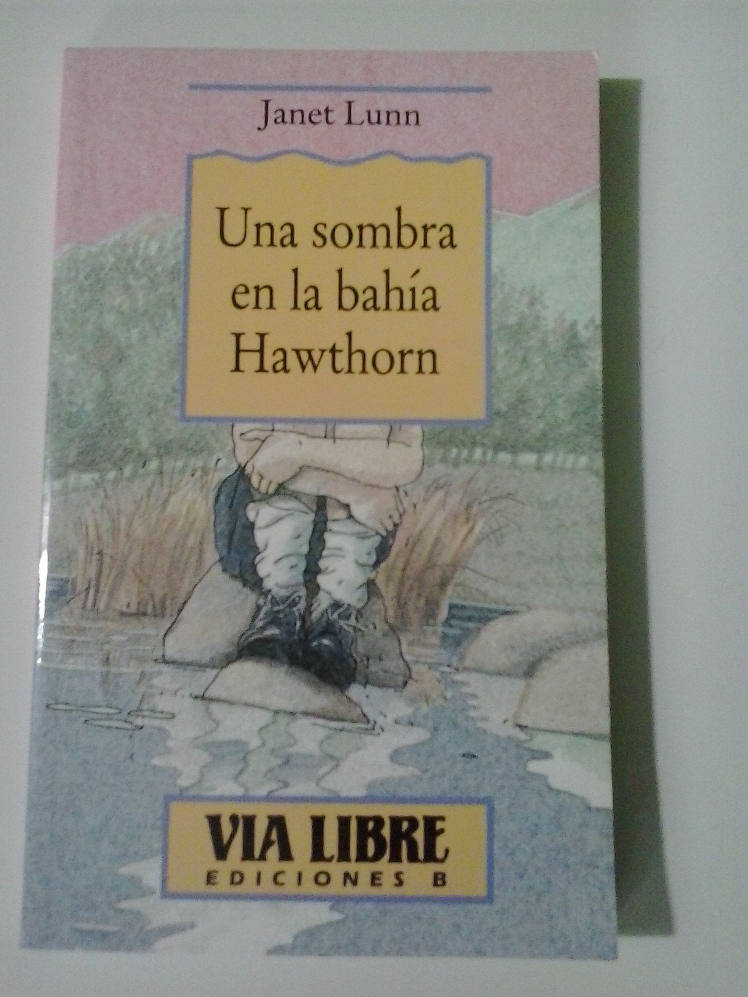 La sombra en la bahía de Hawthorn book