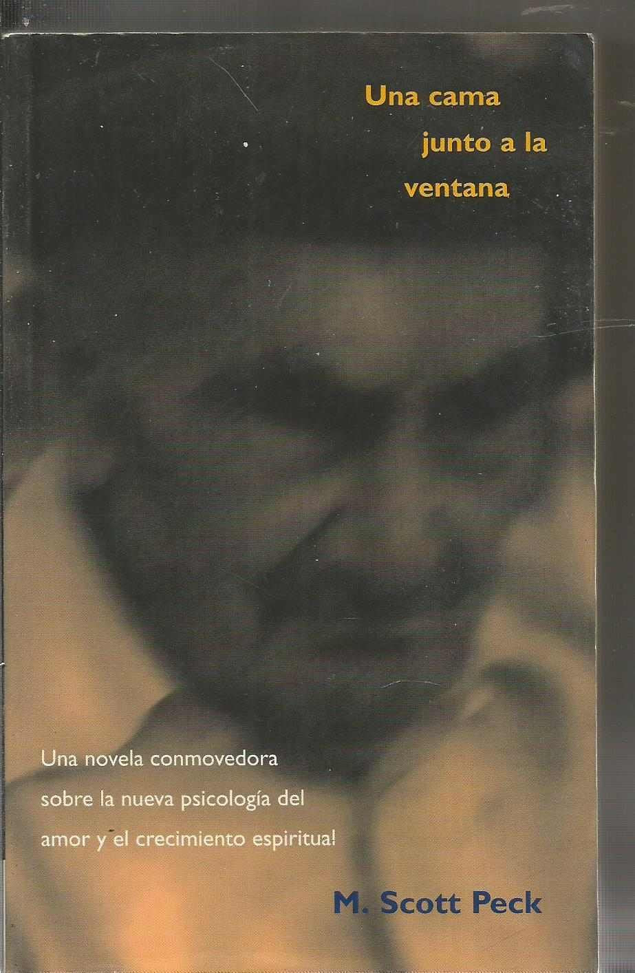 Una cama junto a la ventana (Istorio Barregarriak) Books