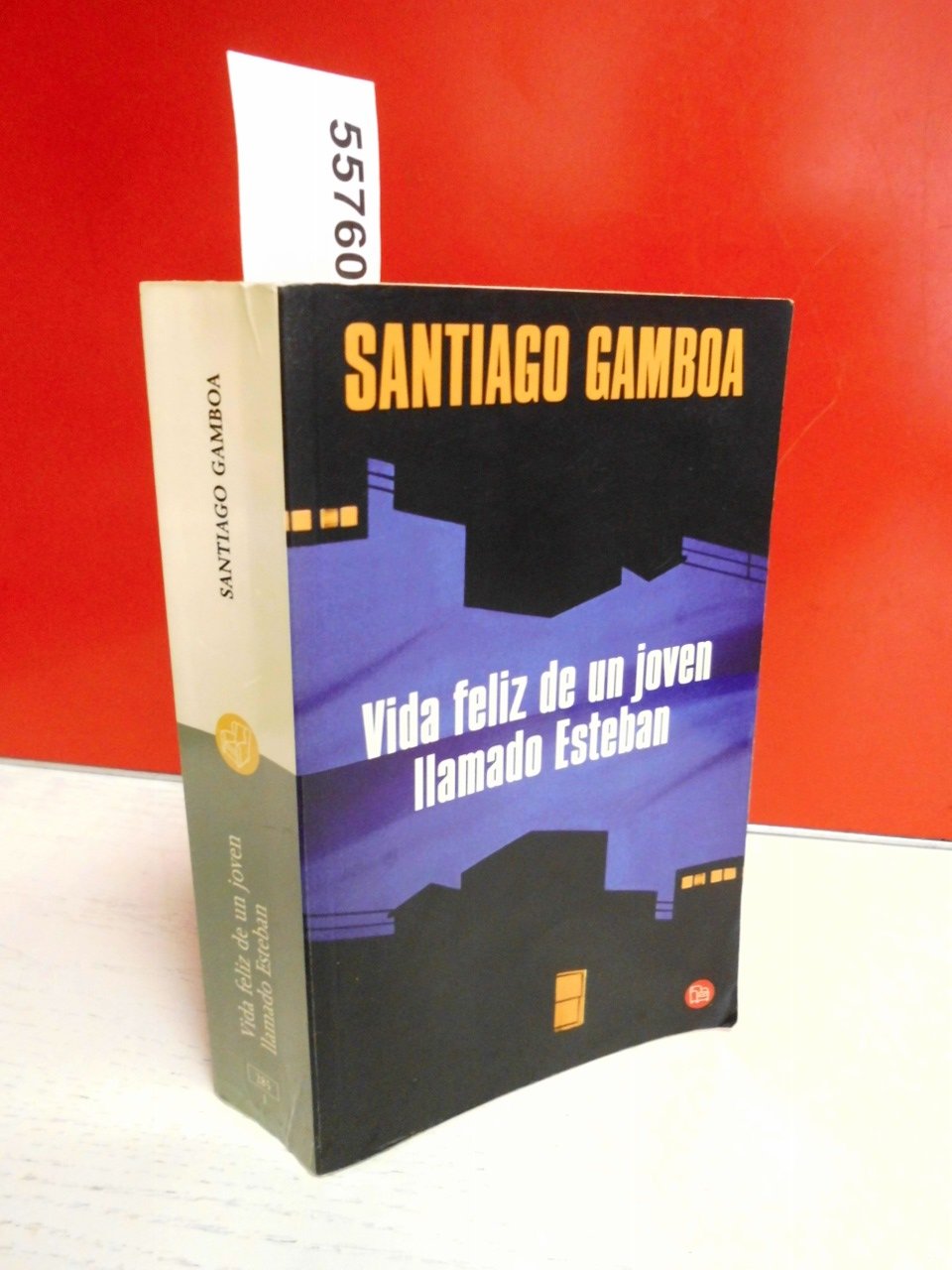 VIDA FELIZ DE UN JOVEN LLAMADO (FICCIONARIO, Band 0) Contemporary literature