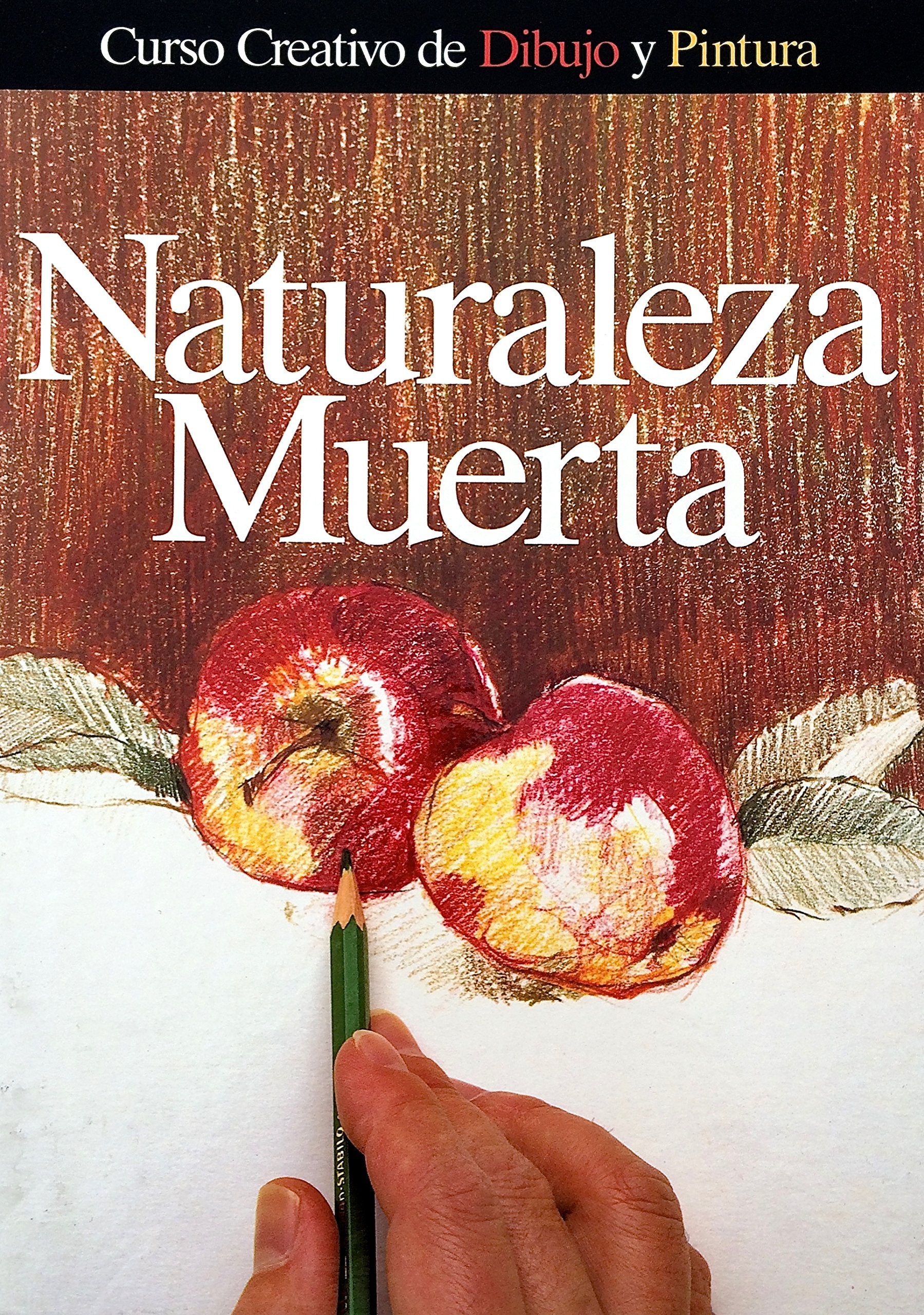 NATURALEZA MUERTA. CURSO CREATIVO DE DIBUJO Y PINTURA. book