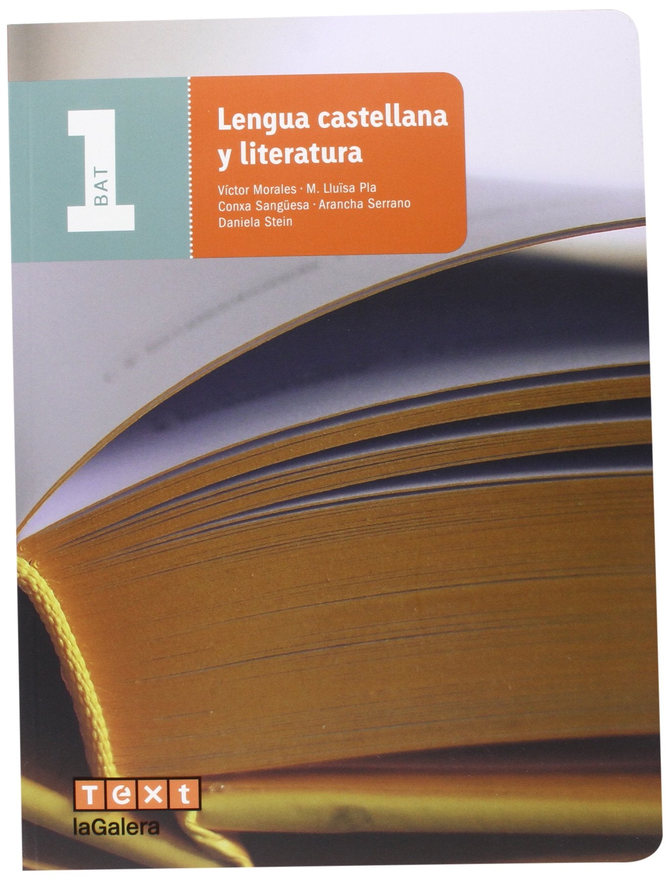 Lengua castellana y literatura 1 BAT book