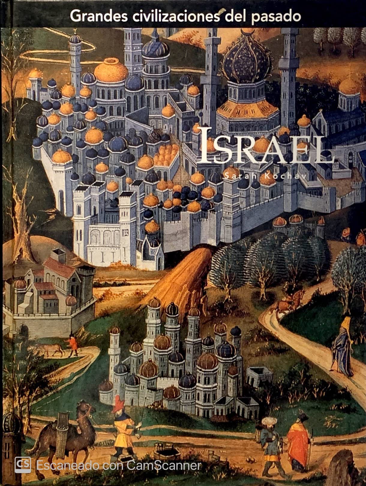 Grandes civilizaciones del pasado. Israel book