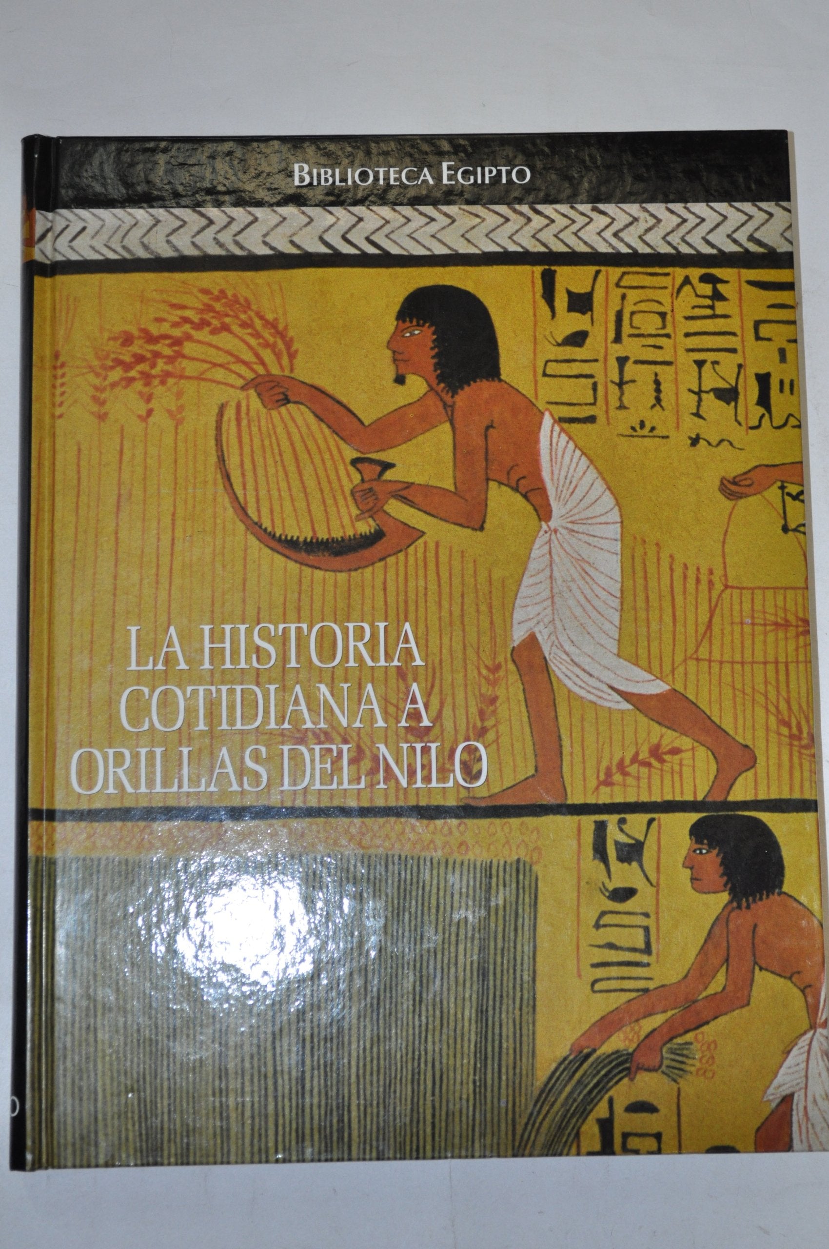 Biblioteca de Egipto. Historia cotidiana a orilla del Nilo book